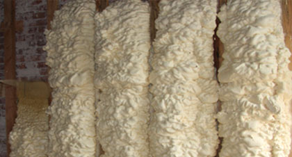 open-cell spray foam for Cary applications